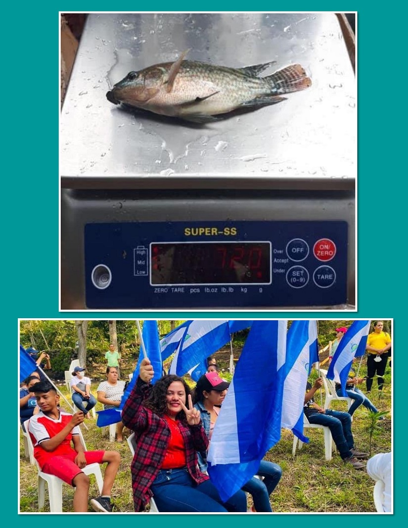 peces